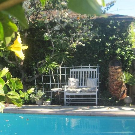 Culver City Escape With Pool, Near Disneyland Park! Los Angeles Ngoại thất bức ảnh